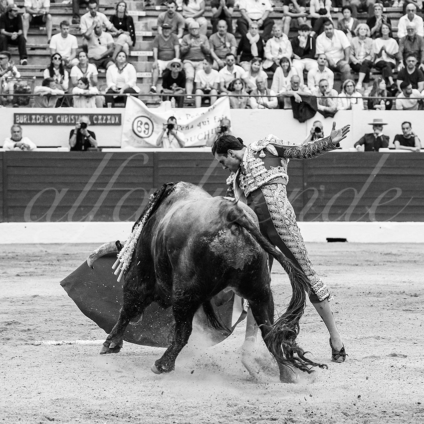 20250615 aire sur l adour 031