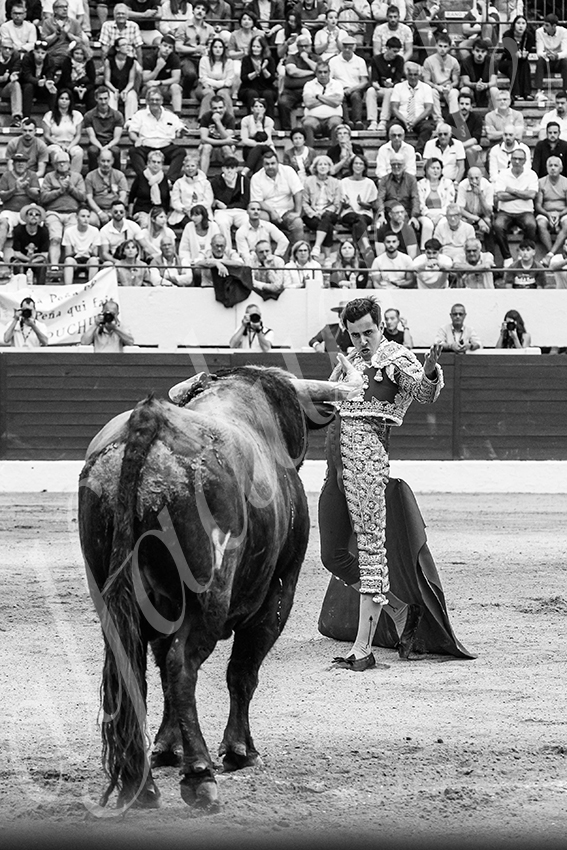 20250615 aire sur l adour 030