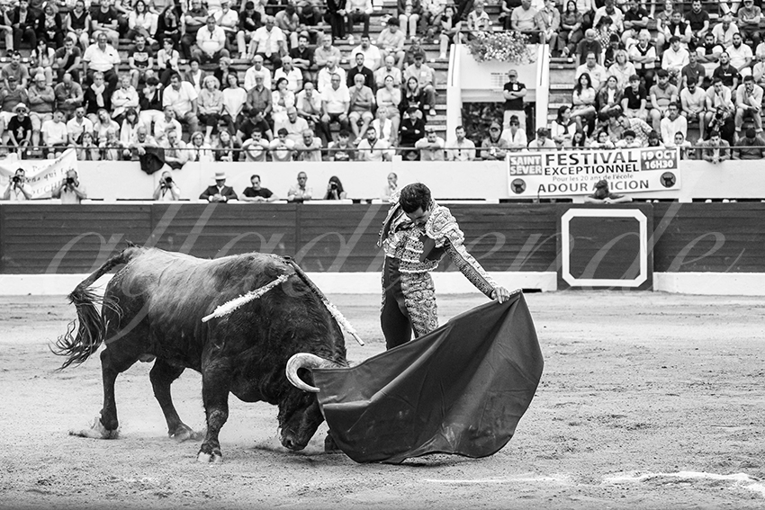 20250615 aire sur l adour 029