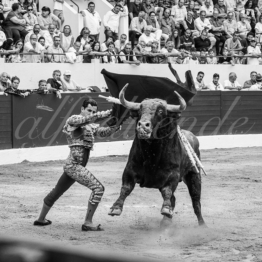 20250615 aire sur l adour 028