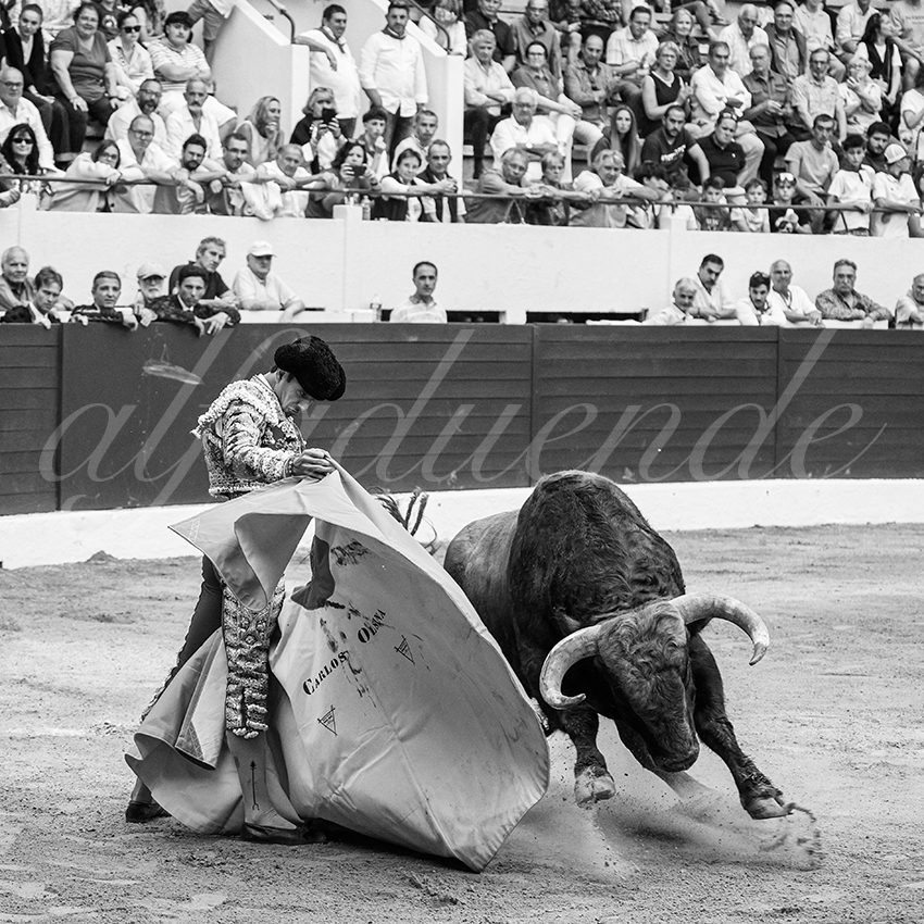 20250615 aire sur l adour 027