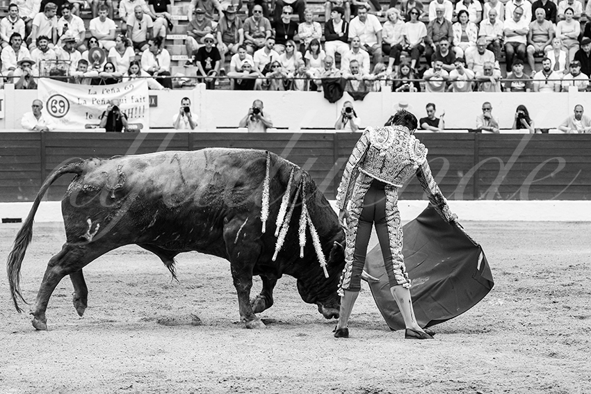 20250615 aire sur l adour 026