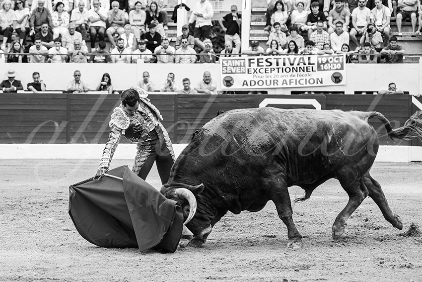 20250615 aire sur l adour 025