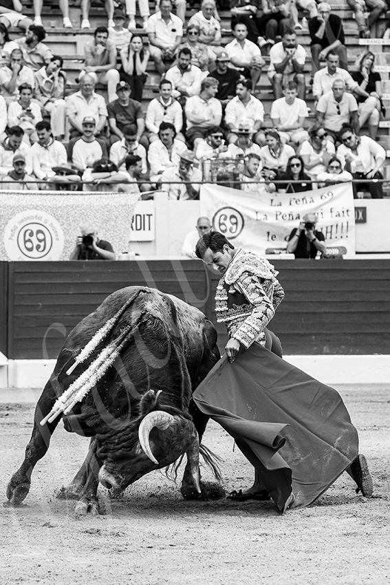 20250615 aire sur l adour 024