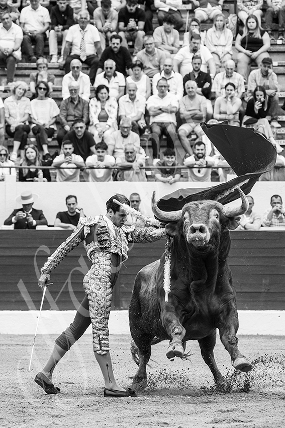 20250615 aire sur l adour 023