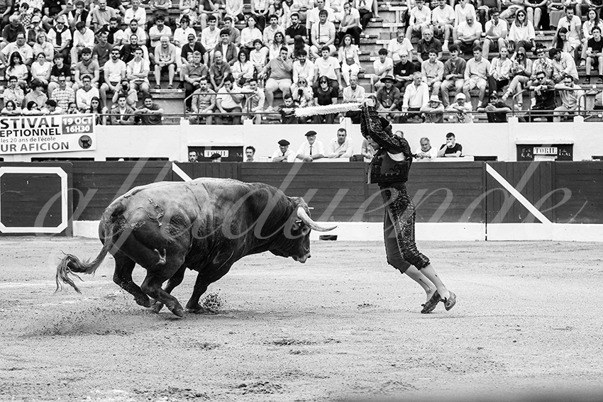 20250615 aire sur l adour cuadrillas 012 copie