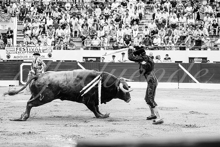 20250615 aire sur l adour cuadrillas 010 copie