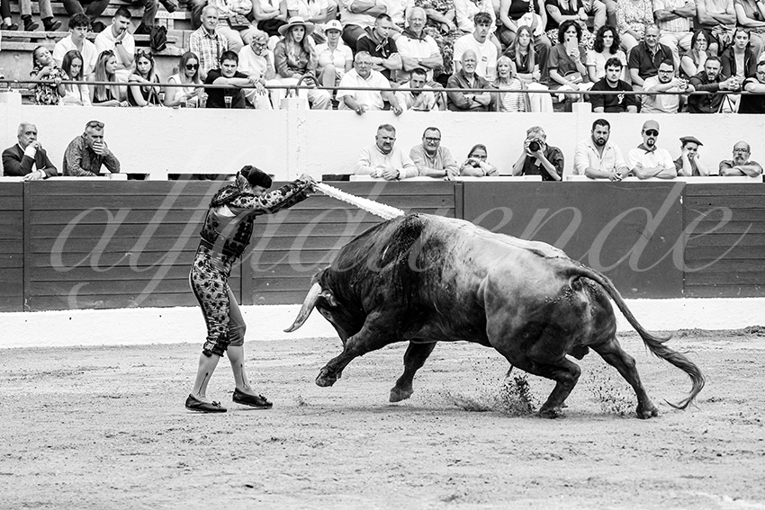 20250615 aire sur l adour cuadrillas 009 copie