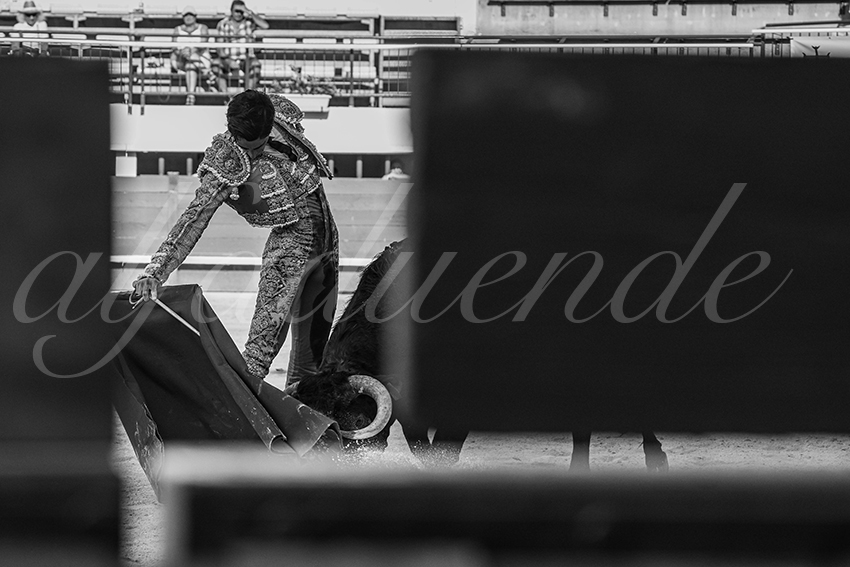 20250621 mauguio 010