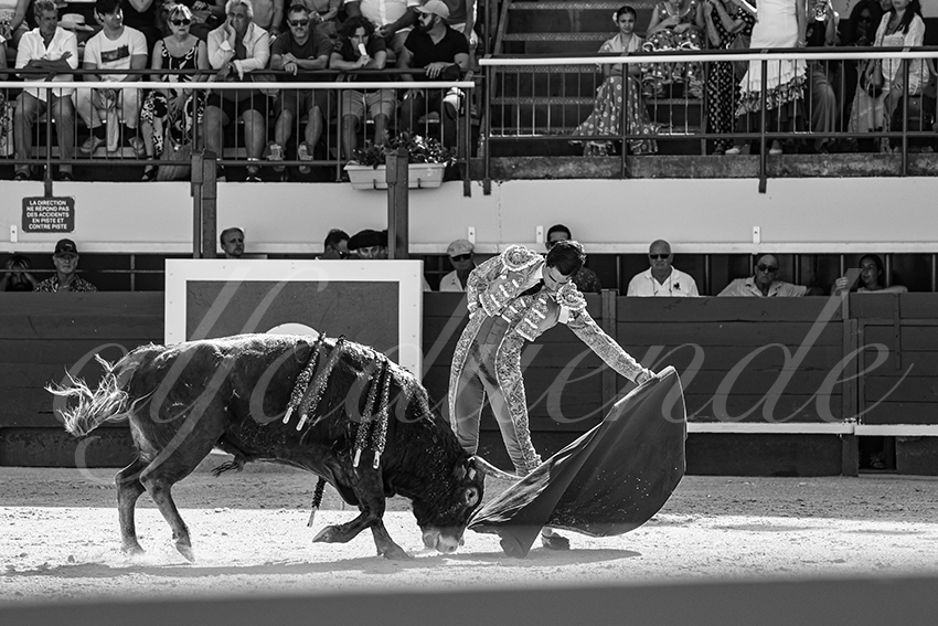 20250621 mauguio 009