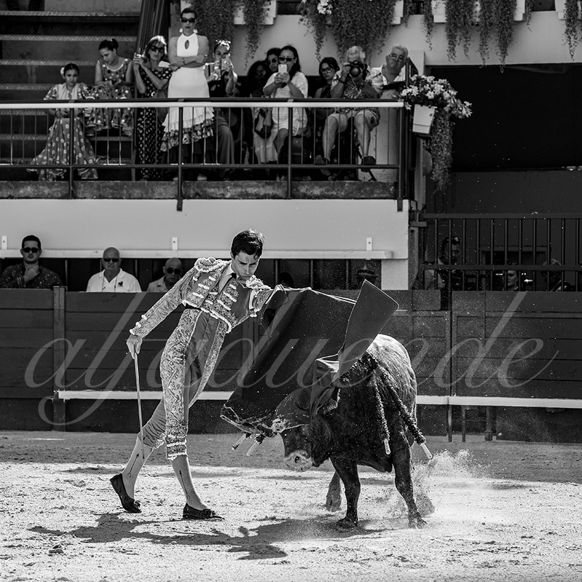 20250621 mauguio 008