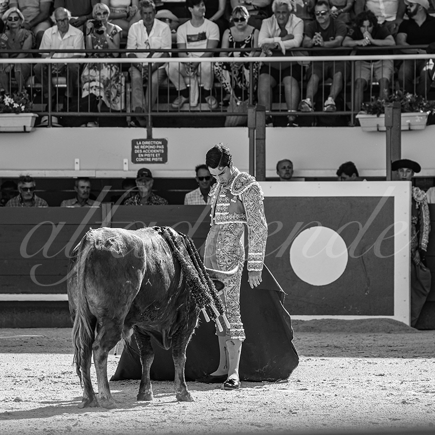 20250621 mauguio 007