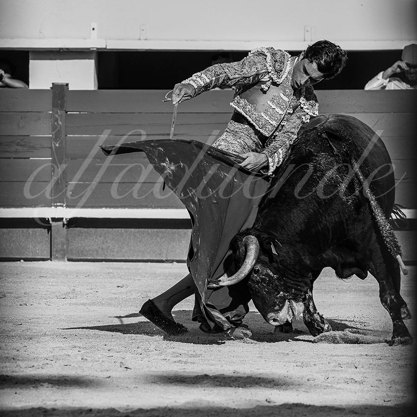 20250621 mauguio 005