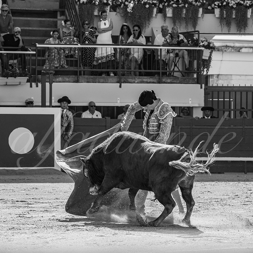 20250621 mauguio 004