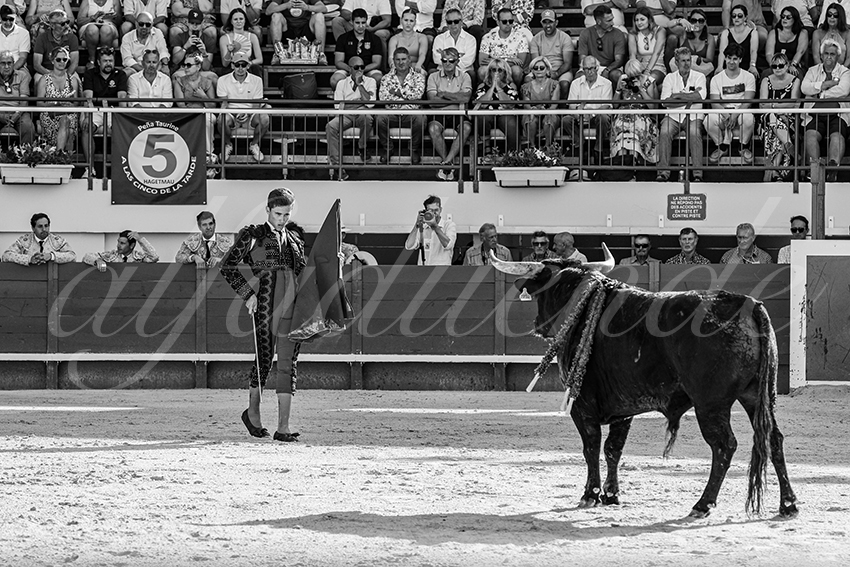 20250621 mauguio 027