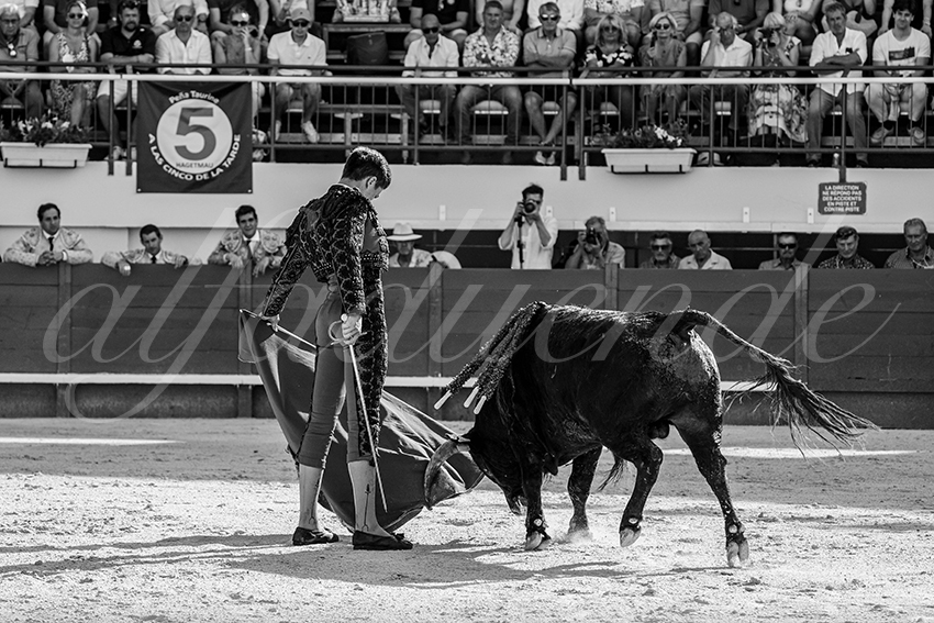 20250621 mauguio 026