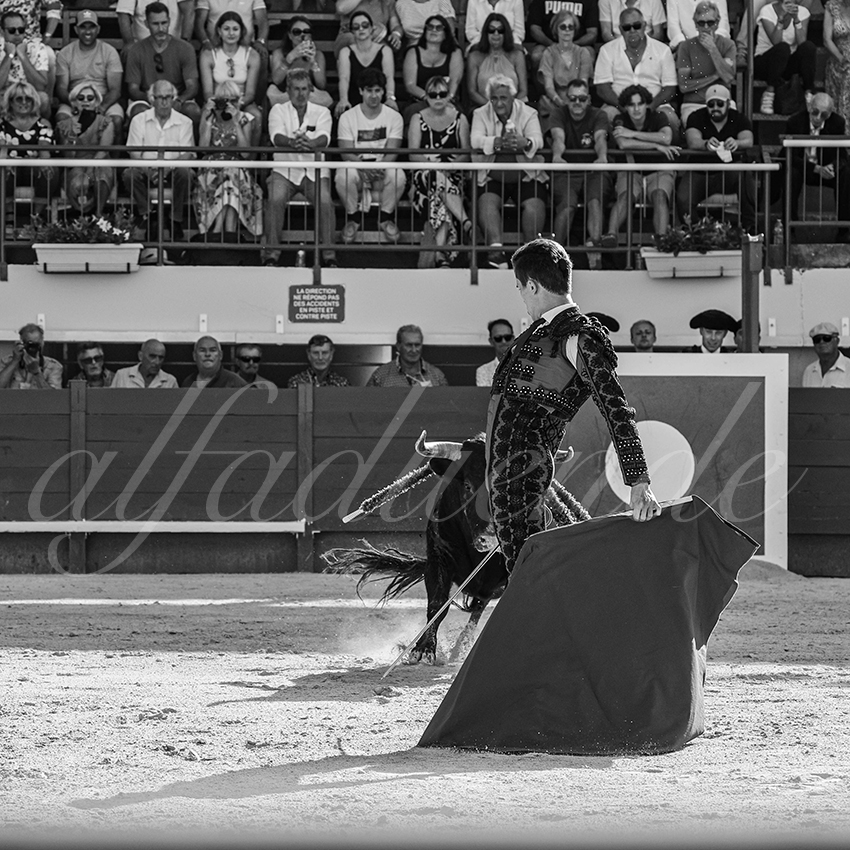 20250621 mauguio 025