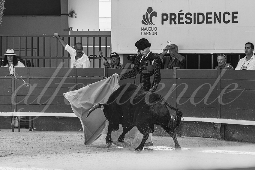 20250621 mauguio 024