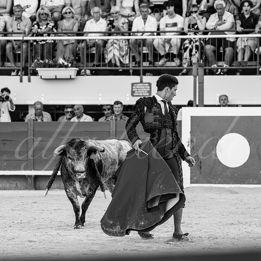 20250621 mauguio 021