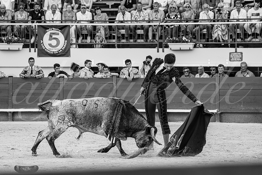 20250621 mauguio 020