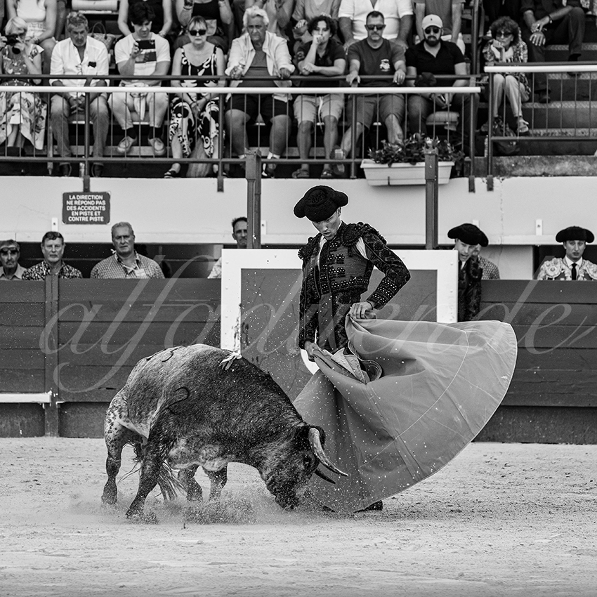 20250621 mauguio 019