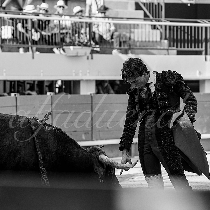 20250621 mauguio 018