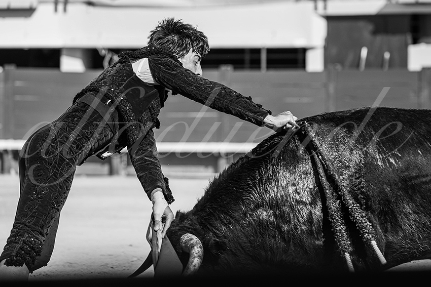 20250621 mauguio 017