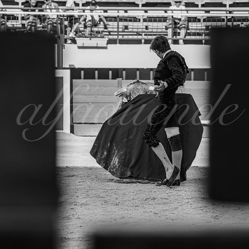 20250621 mauguio 015