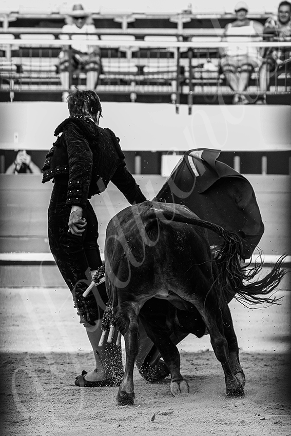 20250621 mauguio 014