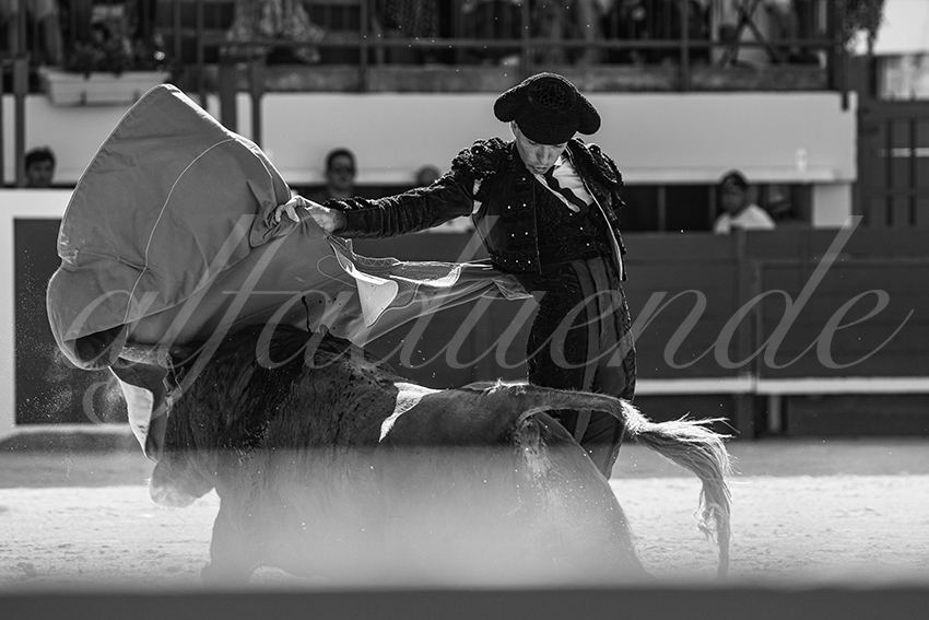 20250621 mauguio 013