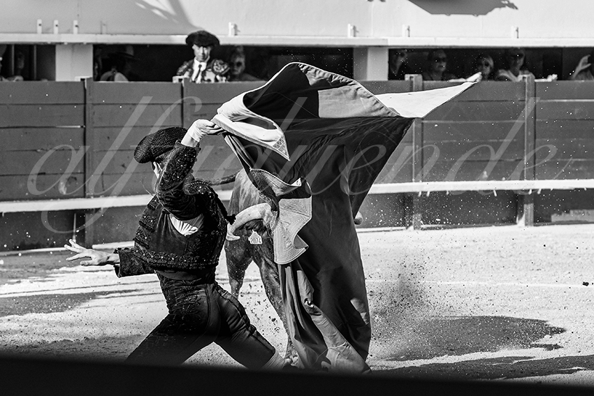 20250621 mauguio 012