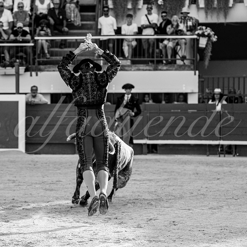 20250621 mauguio cuadrillas 007 copie