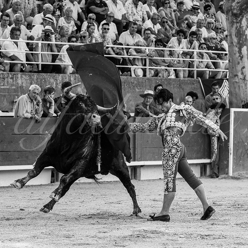 20250705 tarascon 010