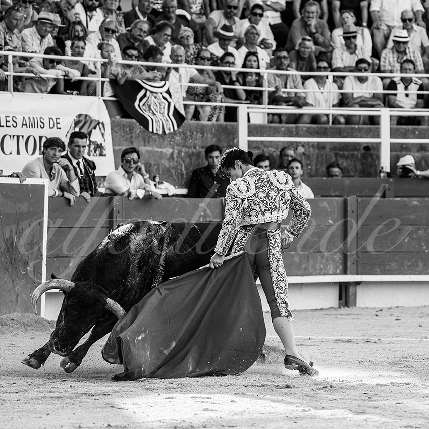 20250705 tarascon 009