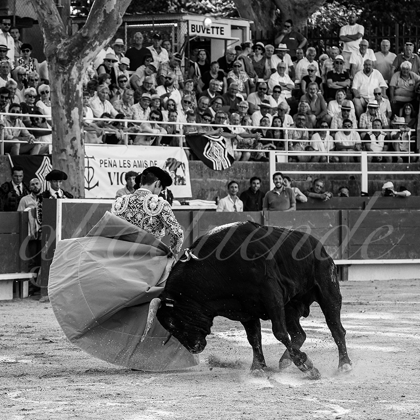 20250705 tarascon 008