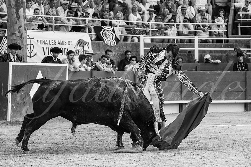 20250705 tarascon 006