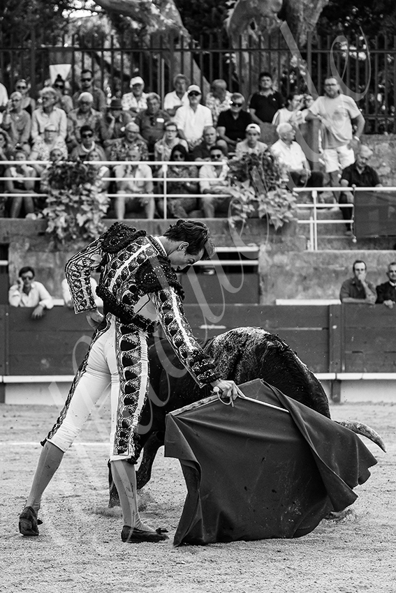 20250705 tarascon 005