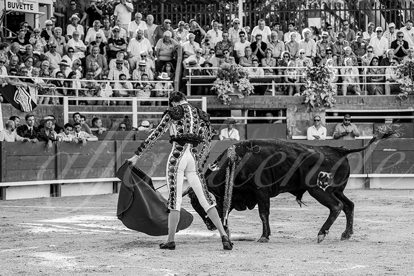 20250705 tarascon 004