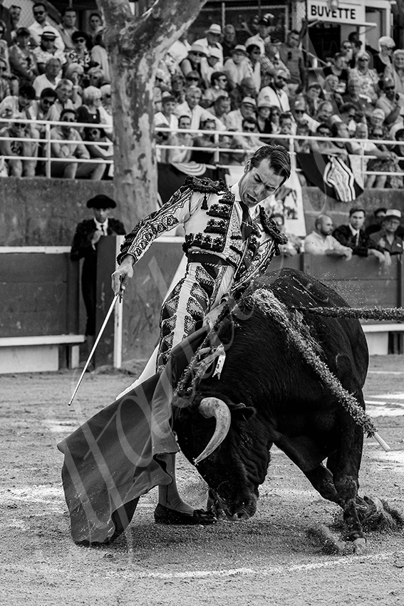 20250705 tarascon 003