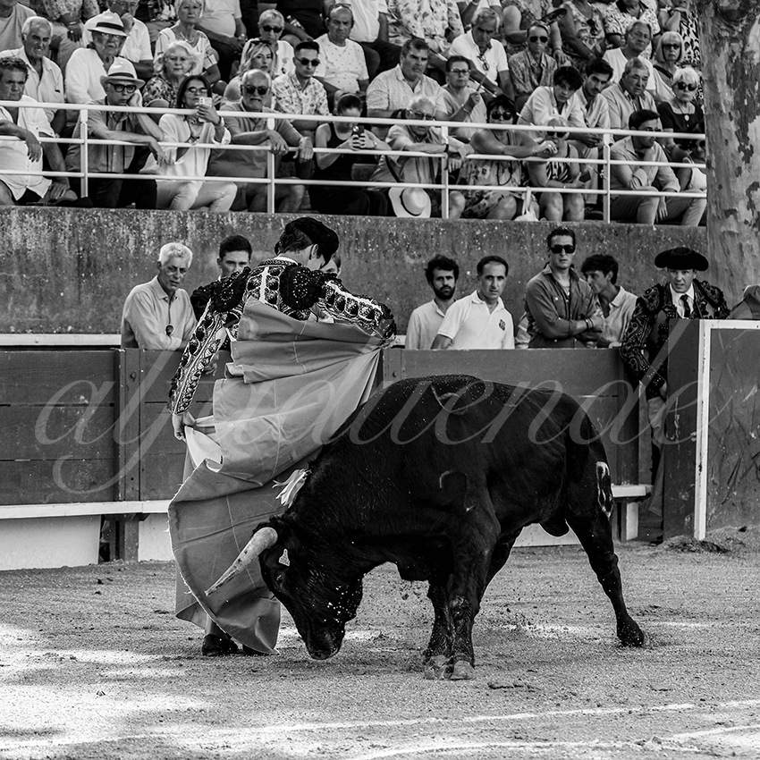 20250705 tarascon 002