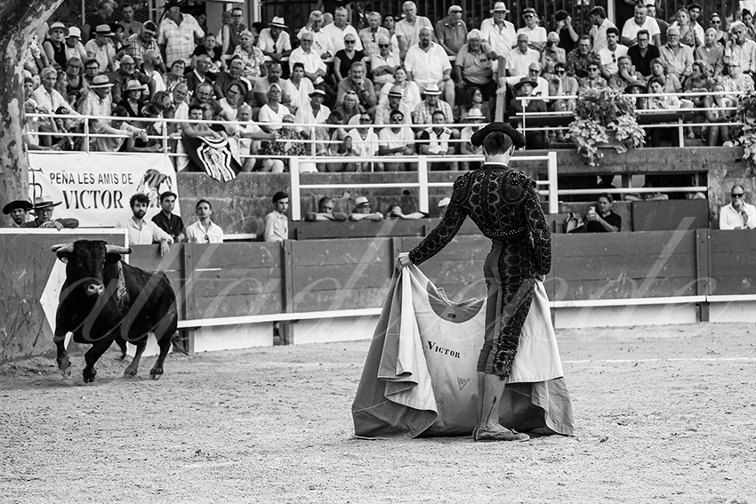 20250705 tarascon 024