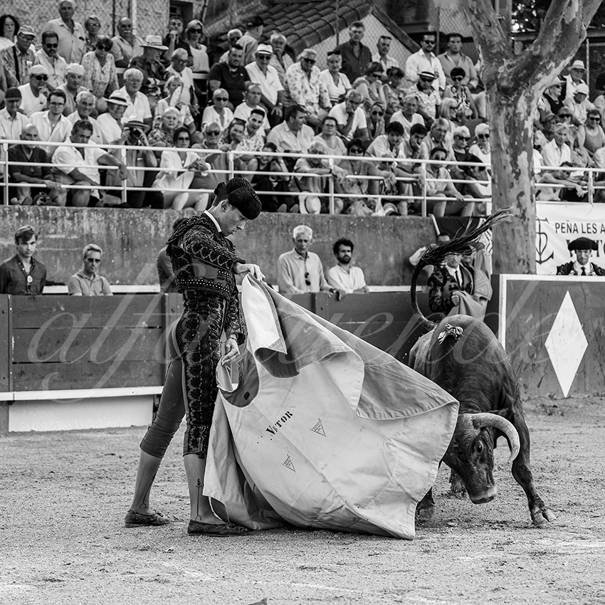 20250705 tarascon 023