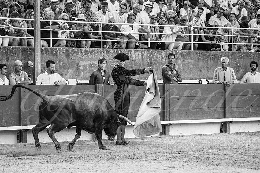 20250705 tarascon 022