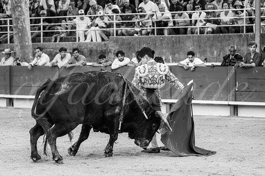 20250705 tarascon 021