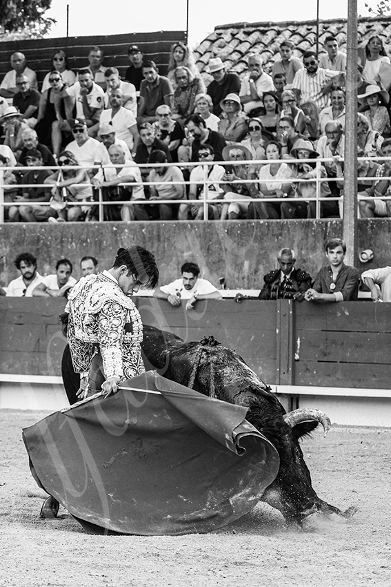 20250705 tarascon 020