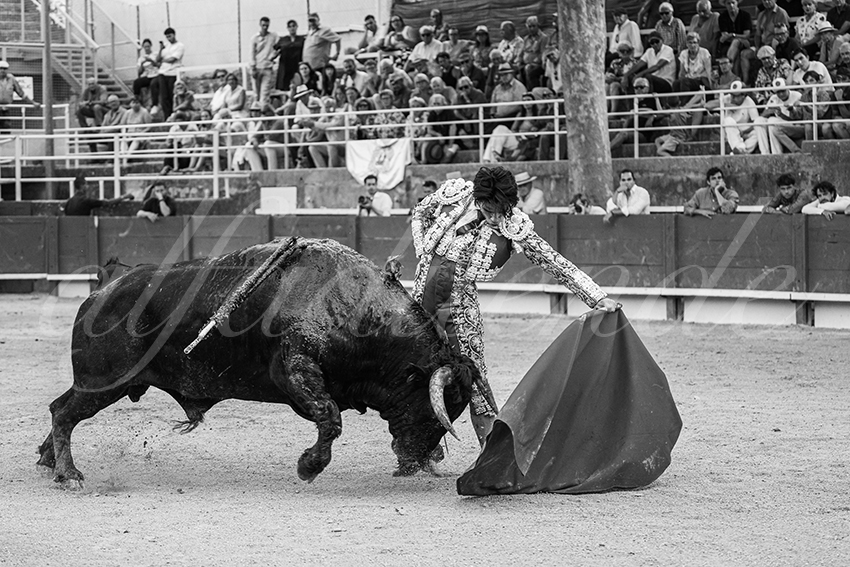 20250705 tarascon 019