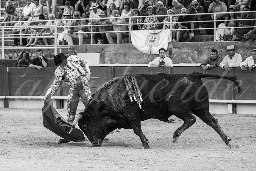 20250705 tarascon 018