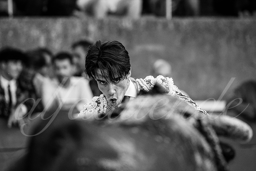 20250705 tarascon 017