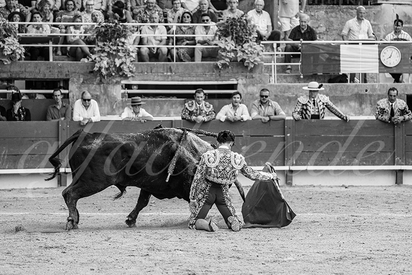 20250705 tarascon 016