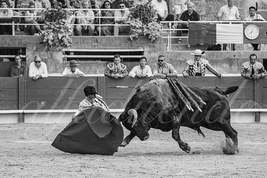 20250705 tarascon 015